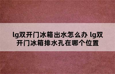 lg双开门冰箱出水怎么办 lg双开门冰箱排水孔在哪个位置